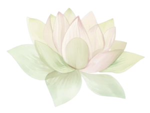 Flor_002